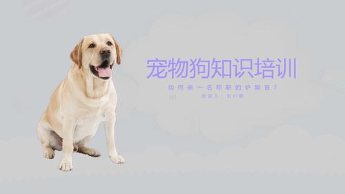 寵物知識大全?寵物知識大全整理!