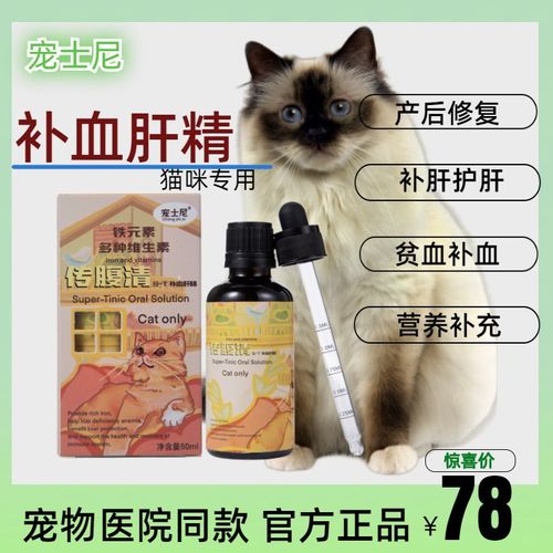 貓血有什么用?貓血有什么用途!