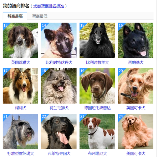 名狗排名?名狗排名圖片大全和價格!