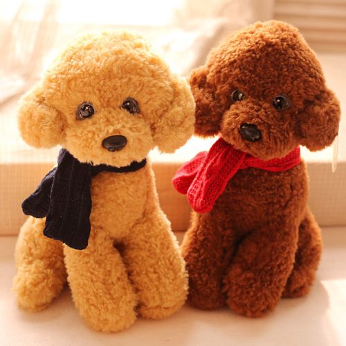 玩具貴賓犬價格?玩具貴賓犬價格及圖片!