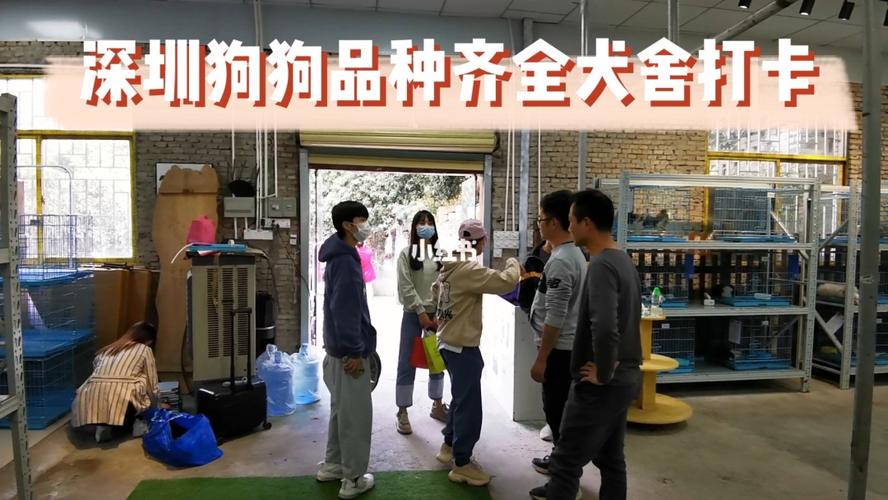 深圳寵物網?深圳寵物網 深圳寵物市場!