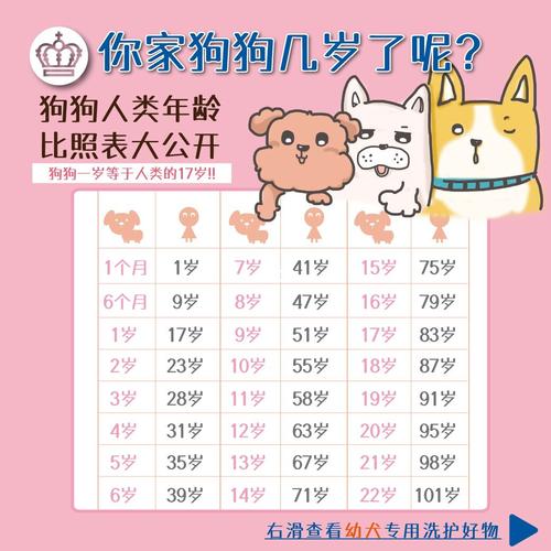 寵物年齡?寵物年齡對照表!