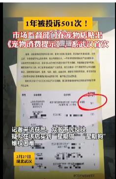 投訴寵物店?投訴寵物店找哪個部門!