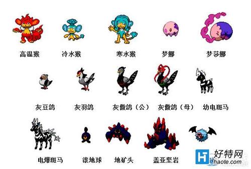 寵物小精靈觀看順序?寵物小精靈觀看順序圖!
