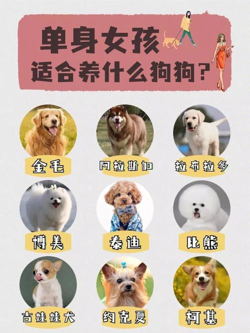 單身適合養什么寵物?單身適合養什么寵物狗!
