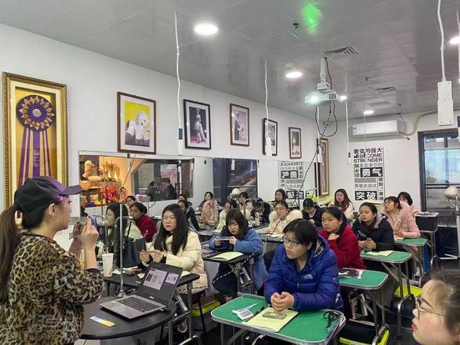 蘇州寵物美容學校?蘇州寵物美容學校排行榜!