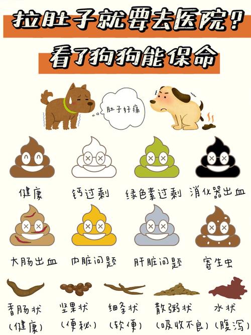 寵物教室?寵物教室有大、小兩個魚缸!