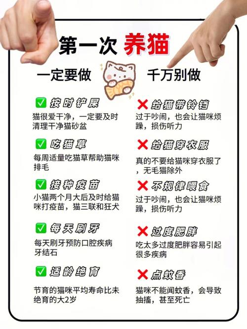 蚊香對寵物?蚊香對寵物蛇有影響嗎!