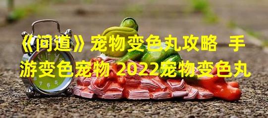 問道寵物變色?問道寵物變色丸怎么用!