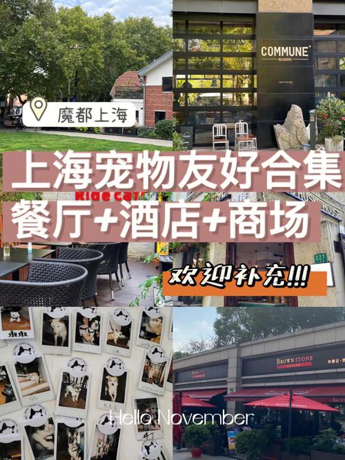 上海寵物友好酒店?上海寵物友好酒店有哪些!