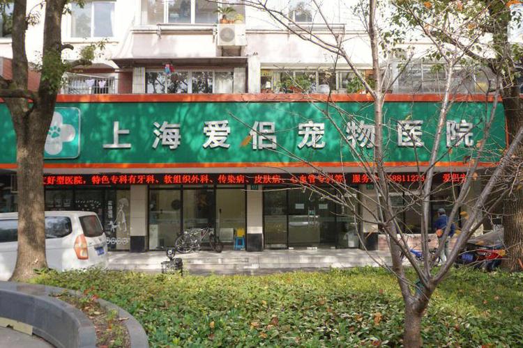 上海浦東寵物醫院?上海浦東寵物醫院前十名!