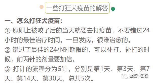 寵物狂犬病疫苗?寵物狂犬病疫苗有效期多長時間!