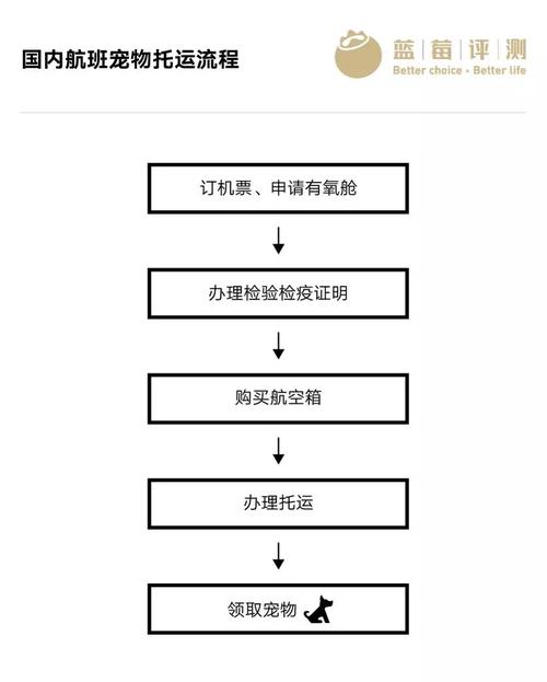 空運寵物流程?空運寵物流程是怎樣的!