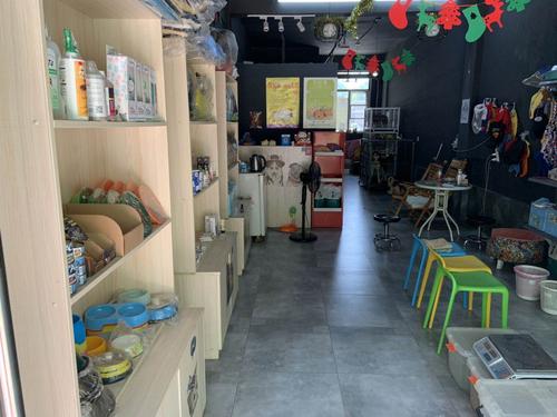 寵物店手續?寵物店手續好辦嗎!