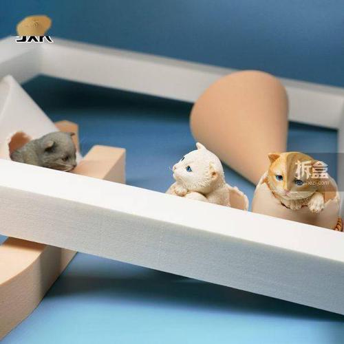 蛋殼寵物?蛋殼寵物用品(上海)有限公司 招聘!