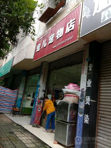 寵兒寵物店?寵兒寵物店怎么樣!