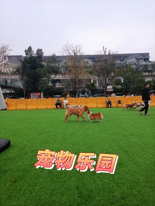 重慶寵物樂園?重慶寵物樂園在哪里!