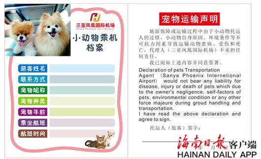 寵物類別?寵物類別怎么填寫才正確!