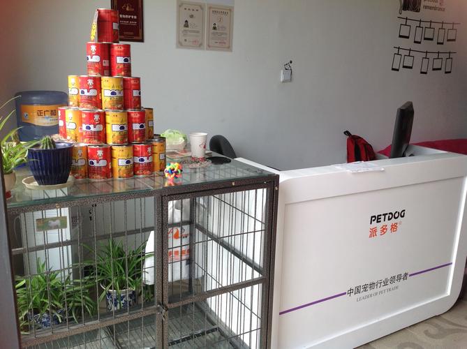 寵物店的寵物從哪進貨?寵物店的寵物從哪進貨呢!