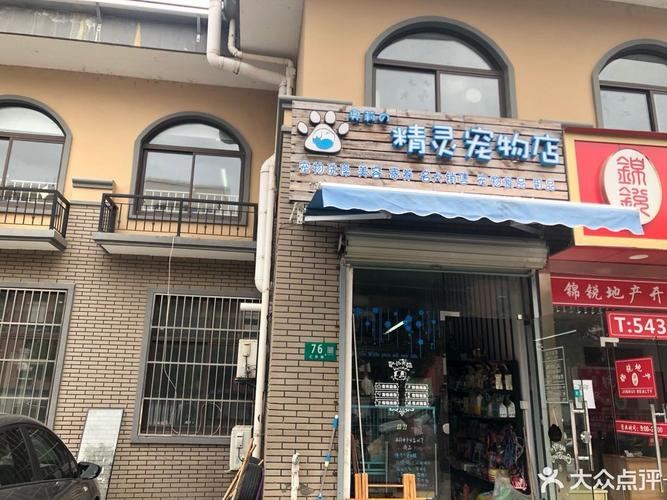 都市寵物店?都市寵物店類小說 星海!