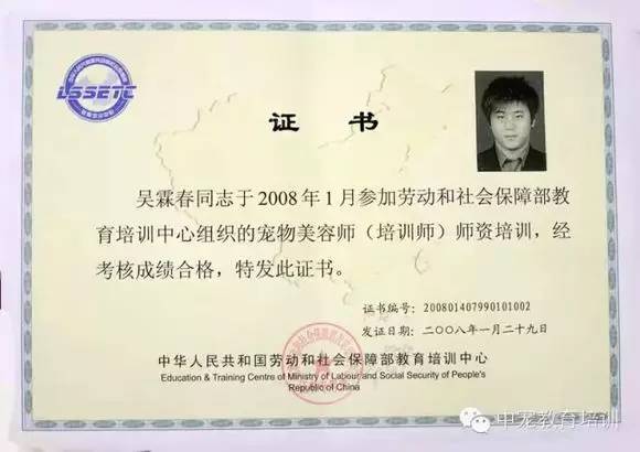 寵物美容證書怎么考?寵物美容證書怎么考多少錢!
