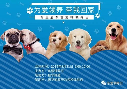 寵物領養中心免費?寵物領養中心免費嗎!