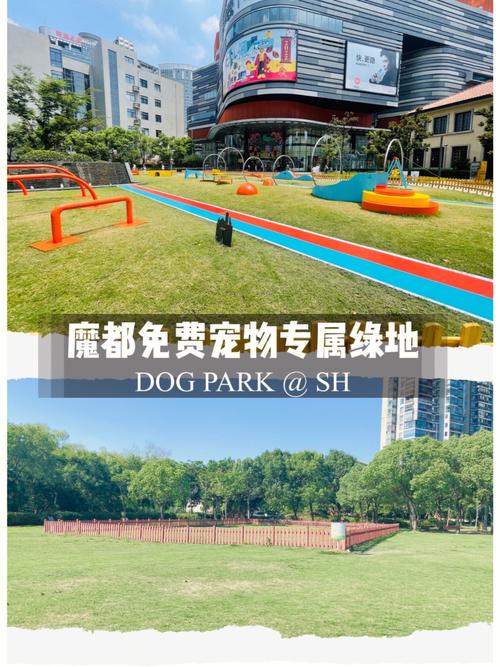 可以帶寵物的公園?上海可以帶寵物的公園!