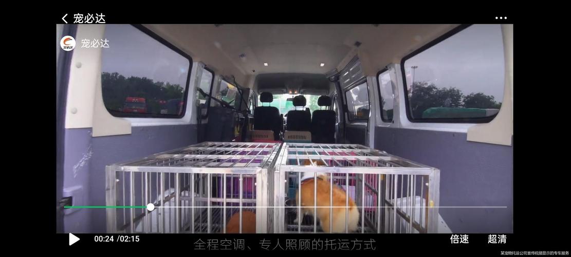 坐火車能托運寵物嗎?坐火車能托運寵物嗎現在!