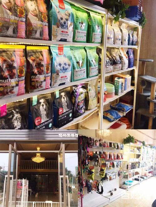 寵物店排行?寵物店排行榜!
