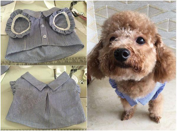 怎么給寵物做衣服?怎樣給寵物做衣服!