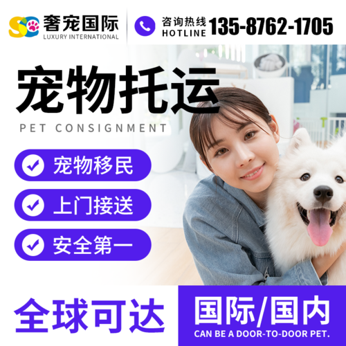 寵物速遞物流公司?寵物速遞物流公司怎么樣!