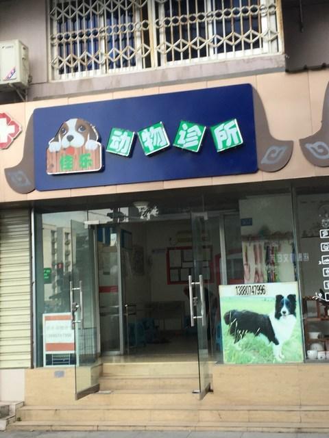 寵物醫院培訓機構?寵物醫院培訓機構排名!