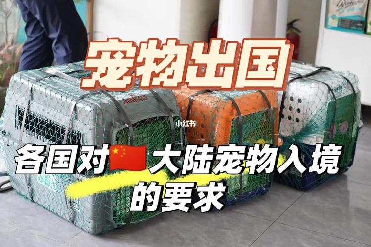 寵物能帶出國嗎?寵物可以帶出國嗎!