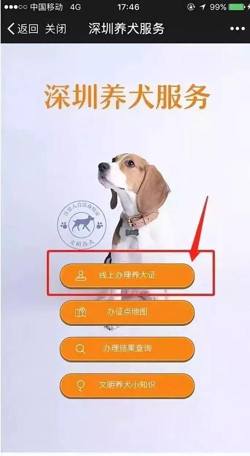 深圳養寵物?深圳養寵物規定!