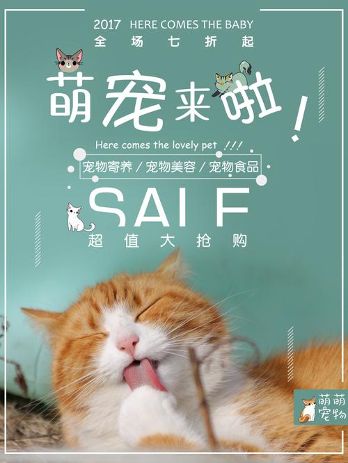 寵物店廣告語?寵物店廣告語宣傳!