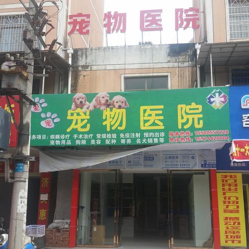 杏林寵物店?杏林寵物醫院在哪里!