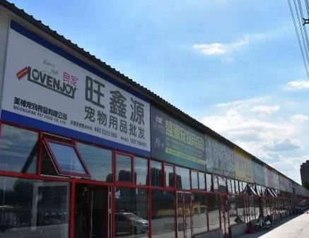 北京寵物批發?北京寵物批發市場!