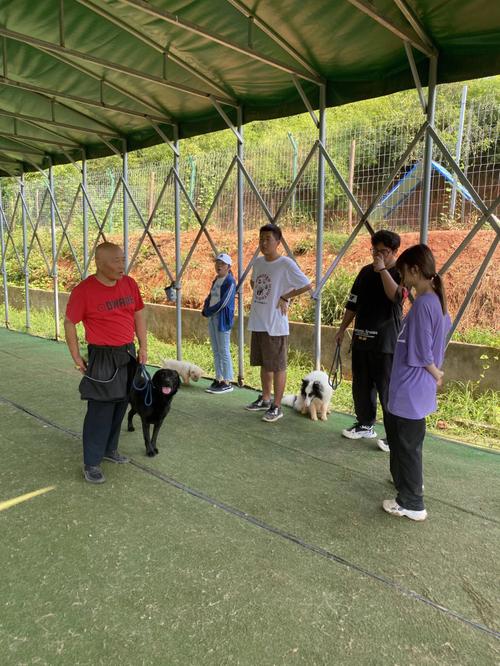 杭州寵物培訓學校?杭州寵物培訓學校推薦!