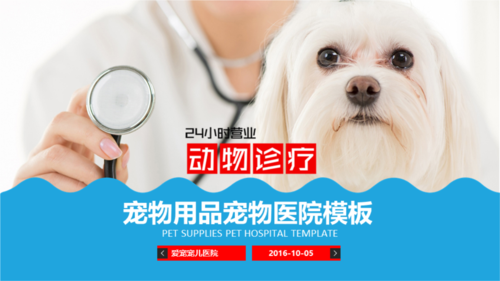寵物醫生是什么專業?寵物醫生是什么專業類型!