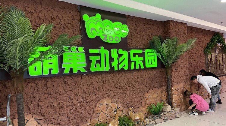 杭州寵物樂園?杭州寵物樂園在哪!