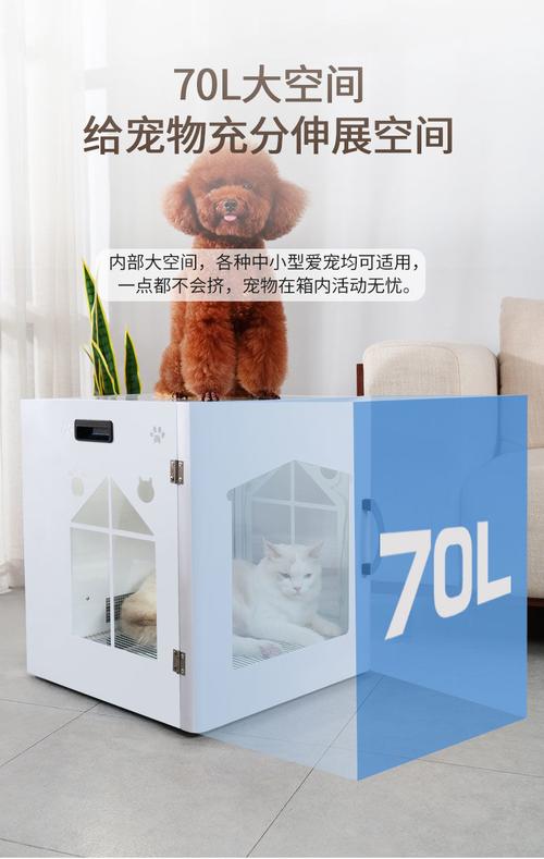 寵物烘干箱好用嗎?寵物烘干箱好用嗎安全嗎!