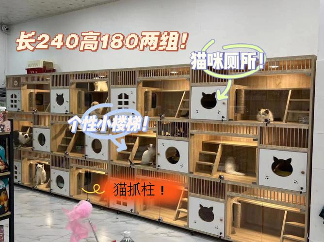 廣州寵物店寄養?廣州寵物店寄養寵物多少錢一天!