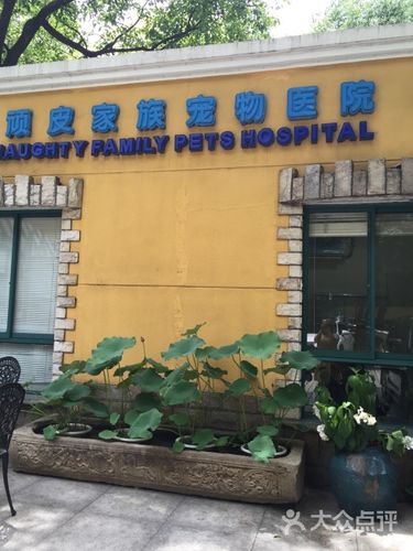 頑皮家族寵物?頑皮家族寵物醫院官網!