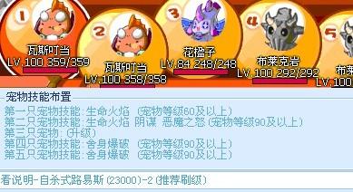 洛克王國寵物輔助?洛克王國寵物輔助在哪!
