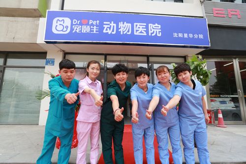 沈陽 寵物醫院?沈陽寵物醫院排行榜口碑好!