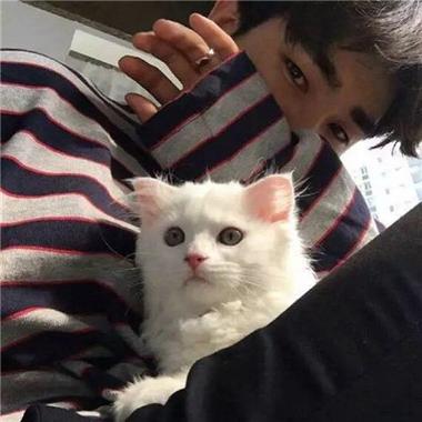 男生抱寵物的頭像?男生抱寵物的頭像圖片!