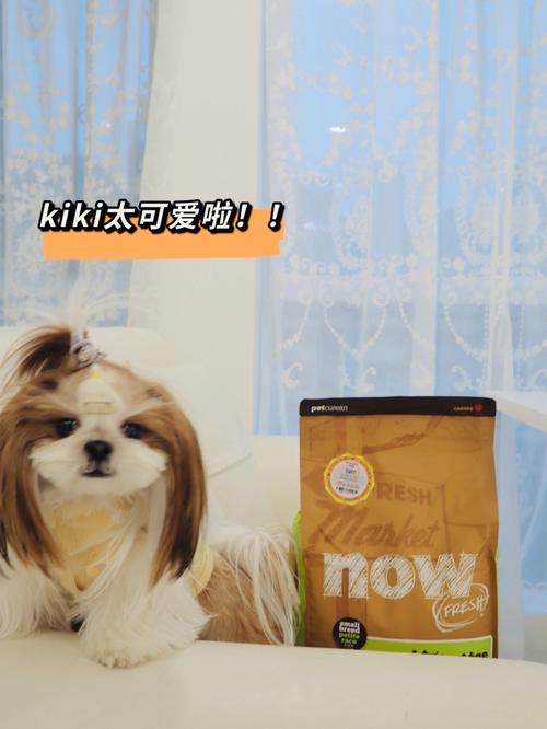 高級寵物?高級寵物口糧在南北雜貨店賣多少兩銀子!