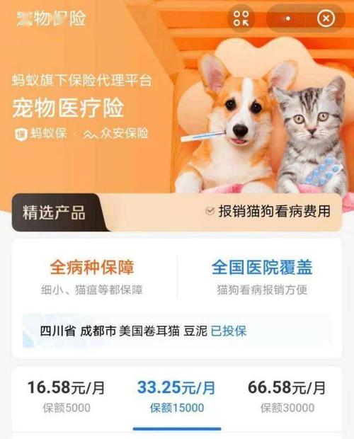 貓咪寵物保險?貓咪寵物保險第一天買了第二天能用嗎!