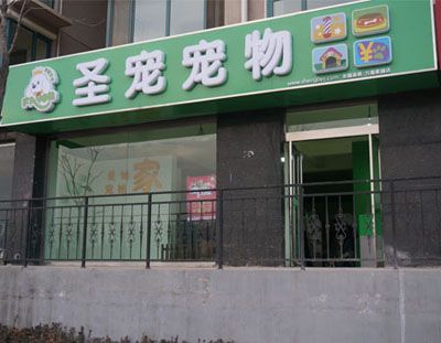 圣寵寵物店在哪里?圣寵寵物店在哪里?!