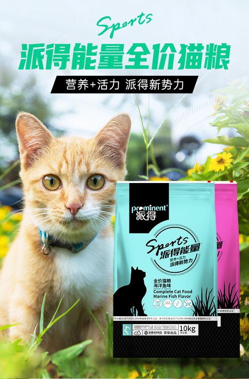 貓咪寵物店推薦?貓咪寵物店推薦貓糧!